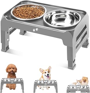 COMESOON Elevated Dog Bowls for Small Medium Dogs - 3 Height Adjustable Raised Stand, 2x 6in Thick Stainless Steel Bowls, Non-Slip Grey Feeder
