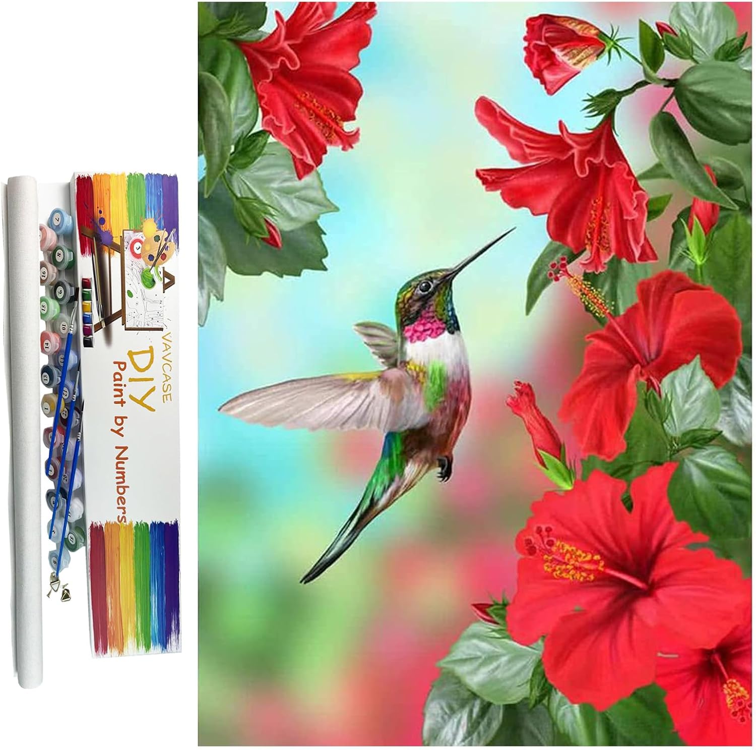 Painting by Numbers Hummingbirds,Giftable Box,Canvas Pictures Drawing