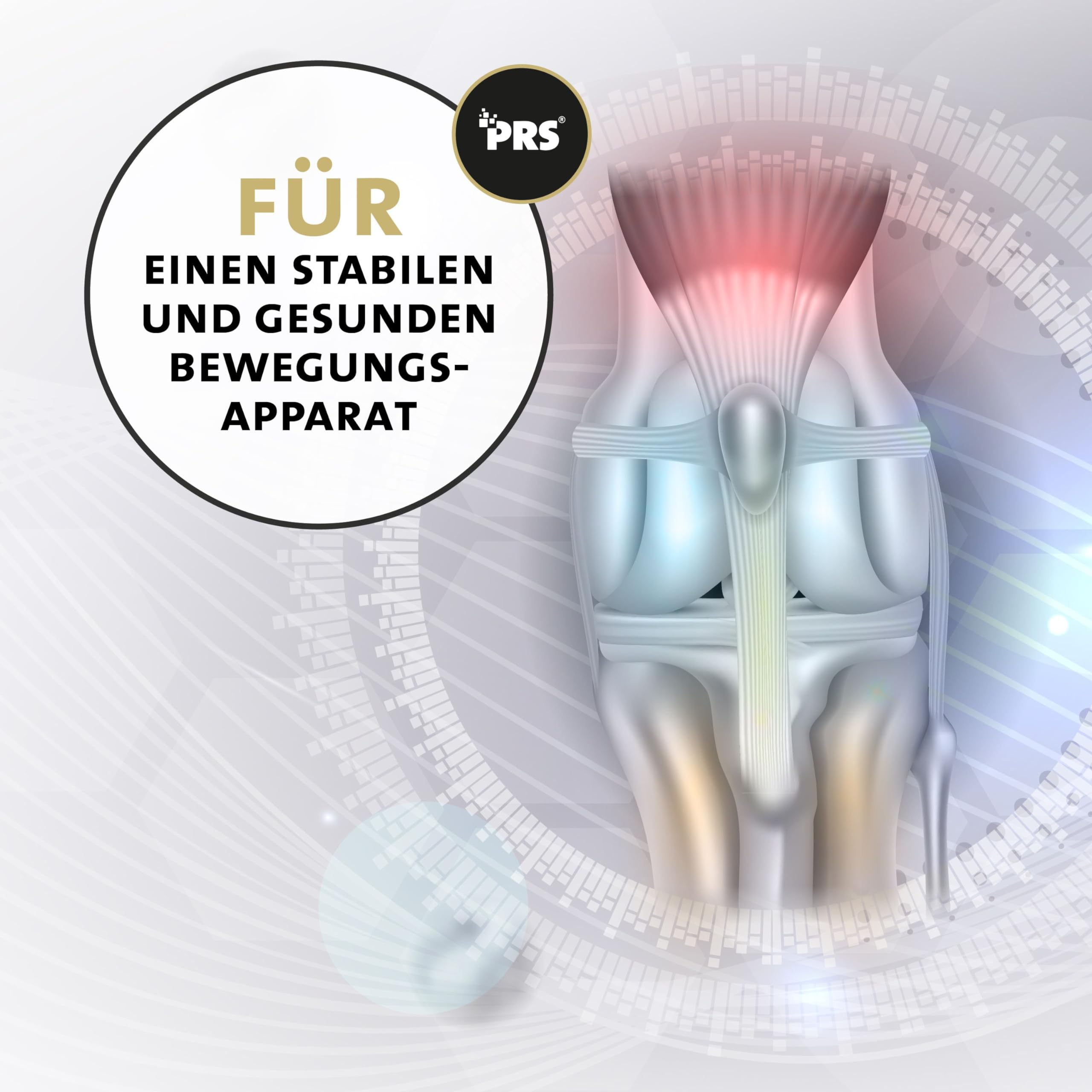 Peticare Cure Articulaire en Poudre pour Chevaux | Soutient Les Articulations & Tendons, Cartilage | Ingrédients Naturels pour Toutes Âges & Poneys | avec MSM & Moule Verte | petHorse Health 4602