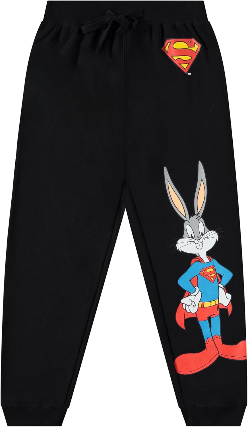 DC Comics Boys Superman Pullover Hoodie and Sweatpants Clothing Set Superman for Little and Big Boys Sizes 4-20