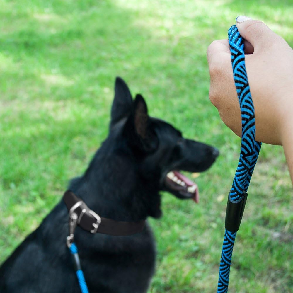 BRONZEDOG Dog Slip Lead 4ft Pet Rope Training Leash for Medium Large Dogs Black Blue Pink Grey Green Red (Pink)