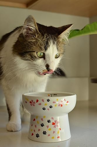 Miniatura 6 de Necoichi Cuenco elevado de agua para gatos, cuenco elevado de cerámica para gatos, evita la fatiga del cuello y los bigotes, apto para lavavajillas