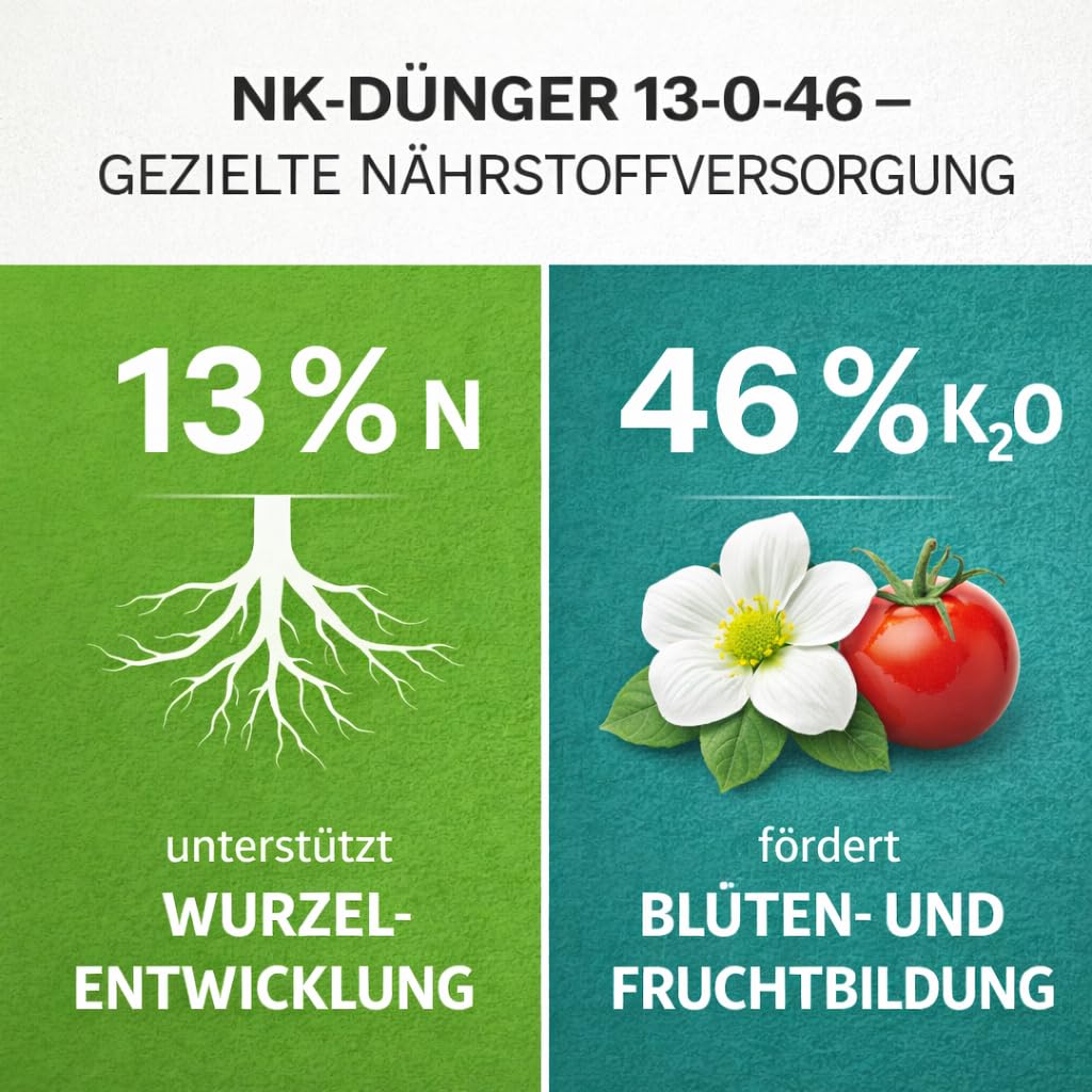 GiDeli Kaliumnitrat 25kg - Ein Universaldünger, Ideal für Blumen, Obstpflanzen und Zierpflanzen - 1 kg Dünger Reicht für 60 m² - Pflanzendünger, der die Immunität und das Wachstum verbessert