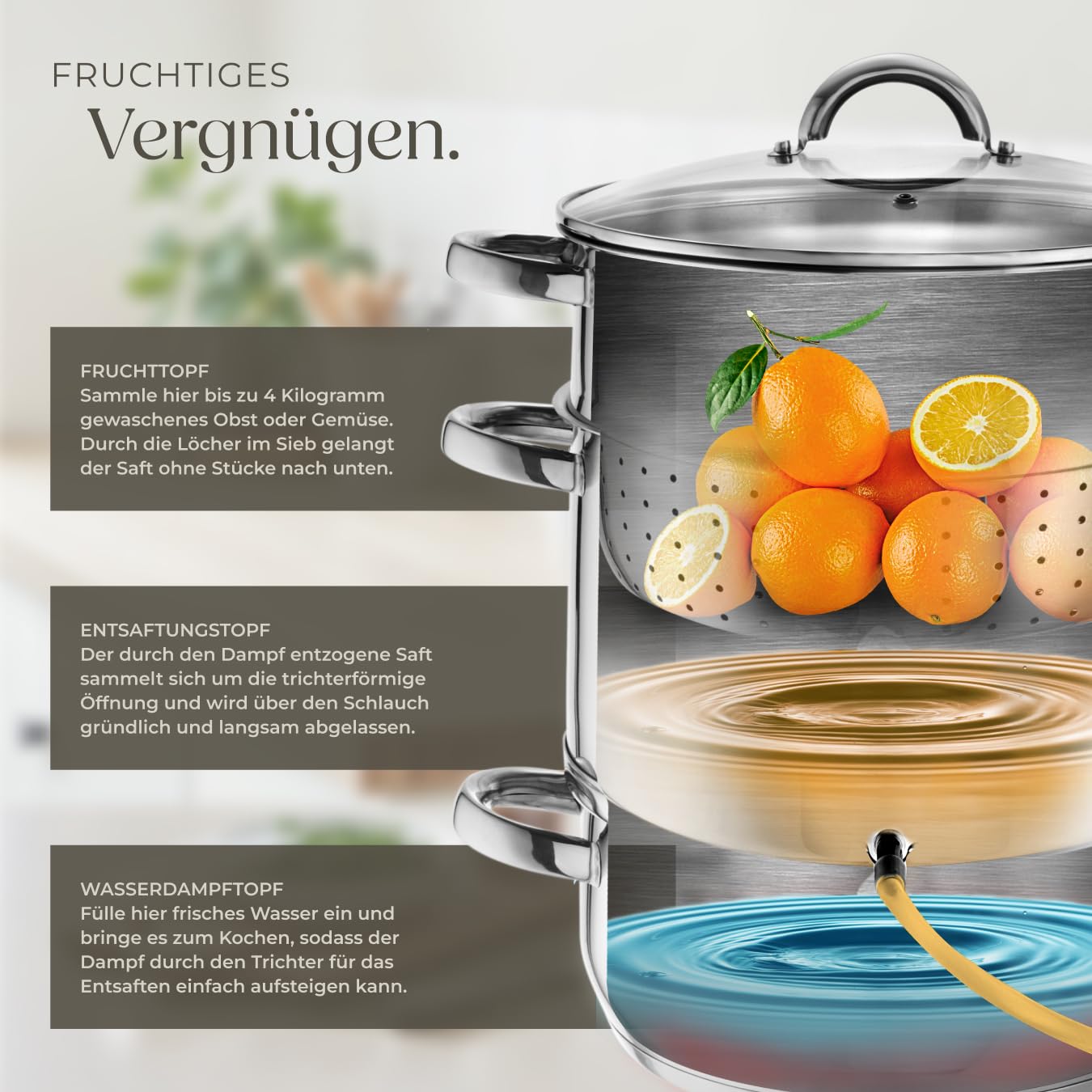 tectake Dampfentsafter 15L Edelstahl, Entsafter, Saftpresse für Obst und Gemüse, induktionsgeeignet, Ø 26cm, Saftmaschine, Juicer Machine mit Glasdeckel und Schlauch, Spülmaschinengeeignet - silber