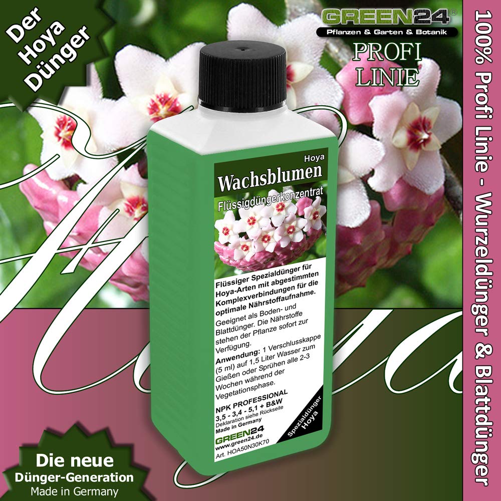 Hoya Engrais liquide pour fleurs de cire High Tech