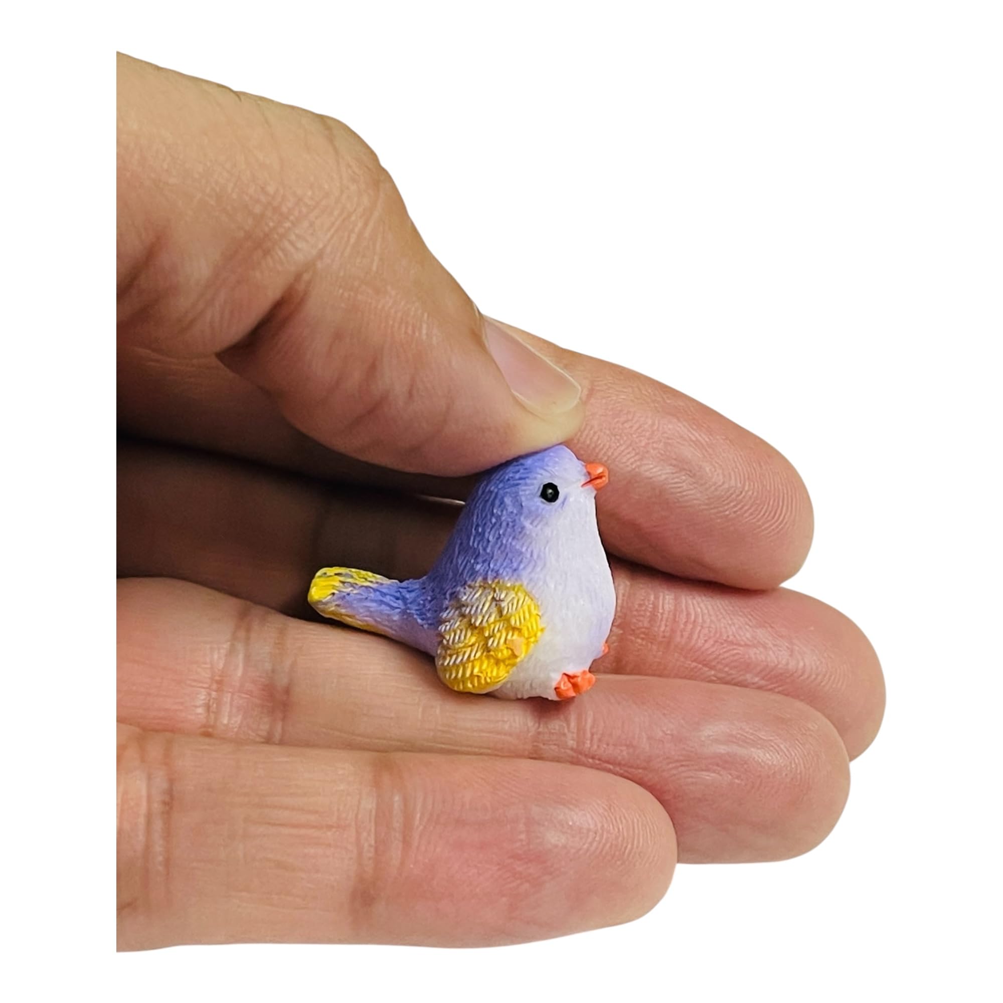 Kriwin Miniature Bird Figurines Set, Resin Made, Colourful Garden Decor for Plants, Terrarium, Dollhouse (Small, 4, Count) 3