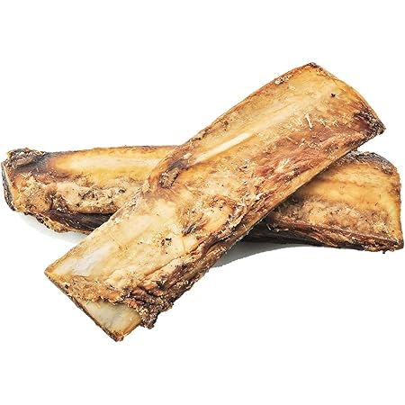 rib bones good for dogs