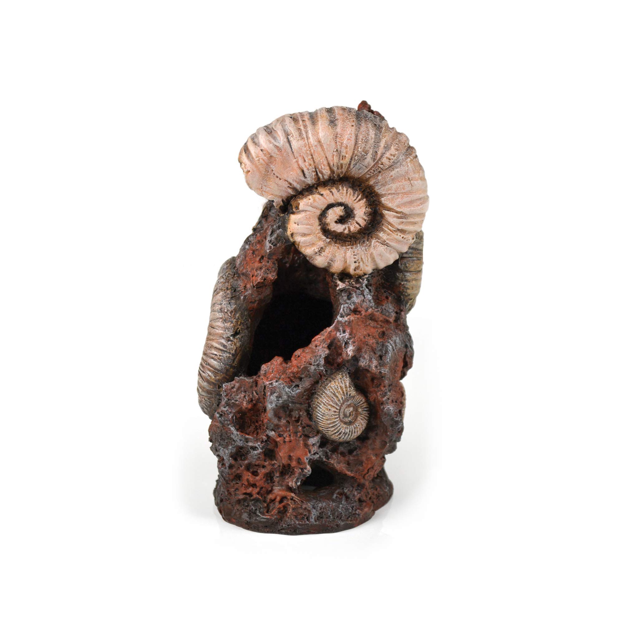 biOrb Muschelbaumstumpf Ornament - Aquarium-Deko in Form eines Baum-Stumpfs, Zubehör fürs Aquarium-Becken, in Braun/Holz-Optik