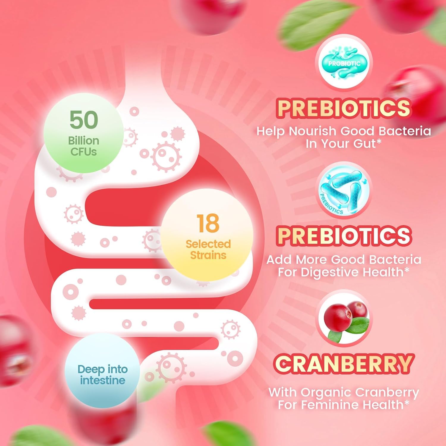 Gummies probiotiques, saveur de canneberge
