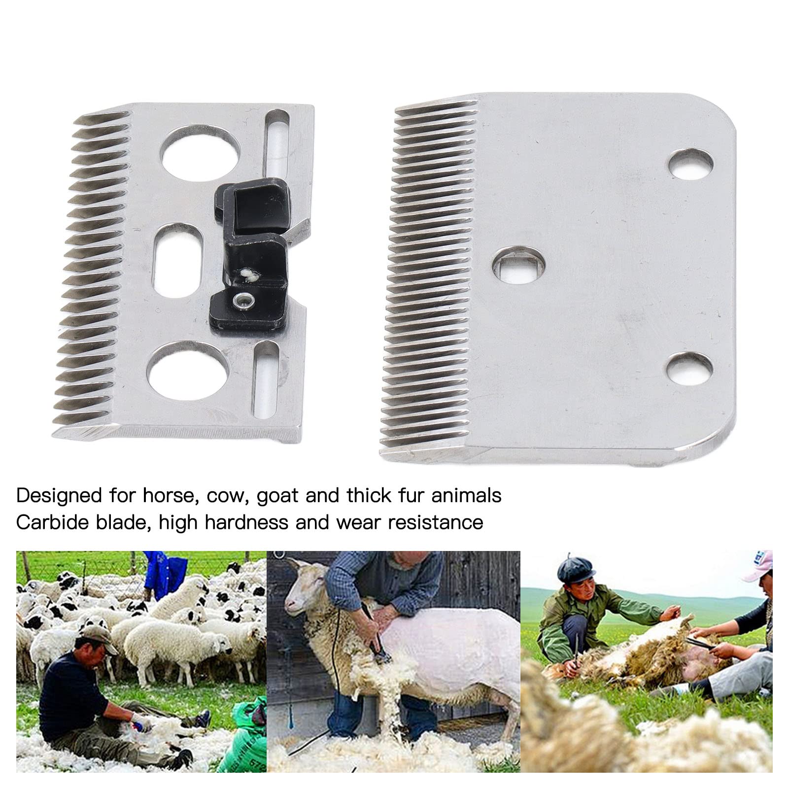 Lames de rechange carbure 35 dents pour ciseaux à chevaux tondeuse professionnelle