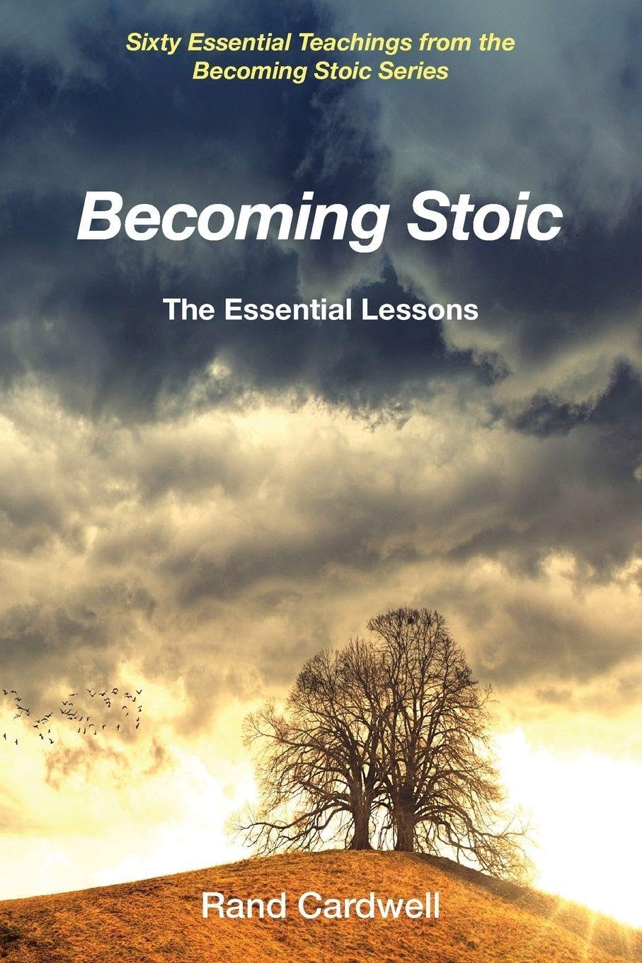 Becoming Stoic: The Essential Lessons: 4