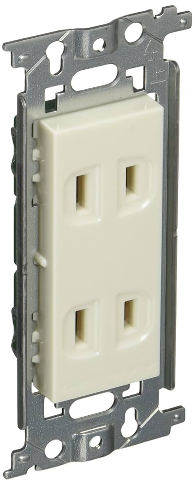 Amazon.co.jp: パナソニック(Panasonic) 埋込ダブルコンセント/P