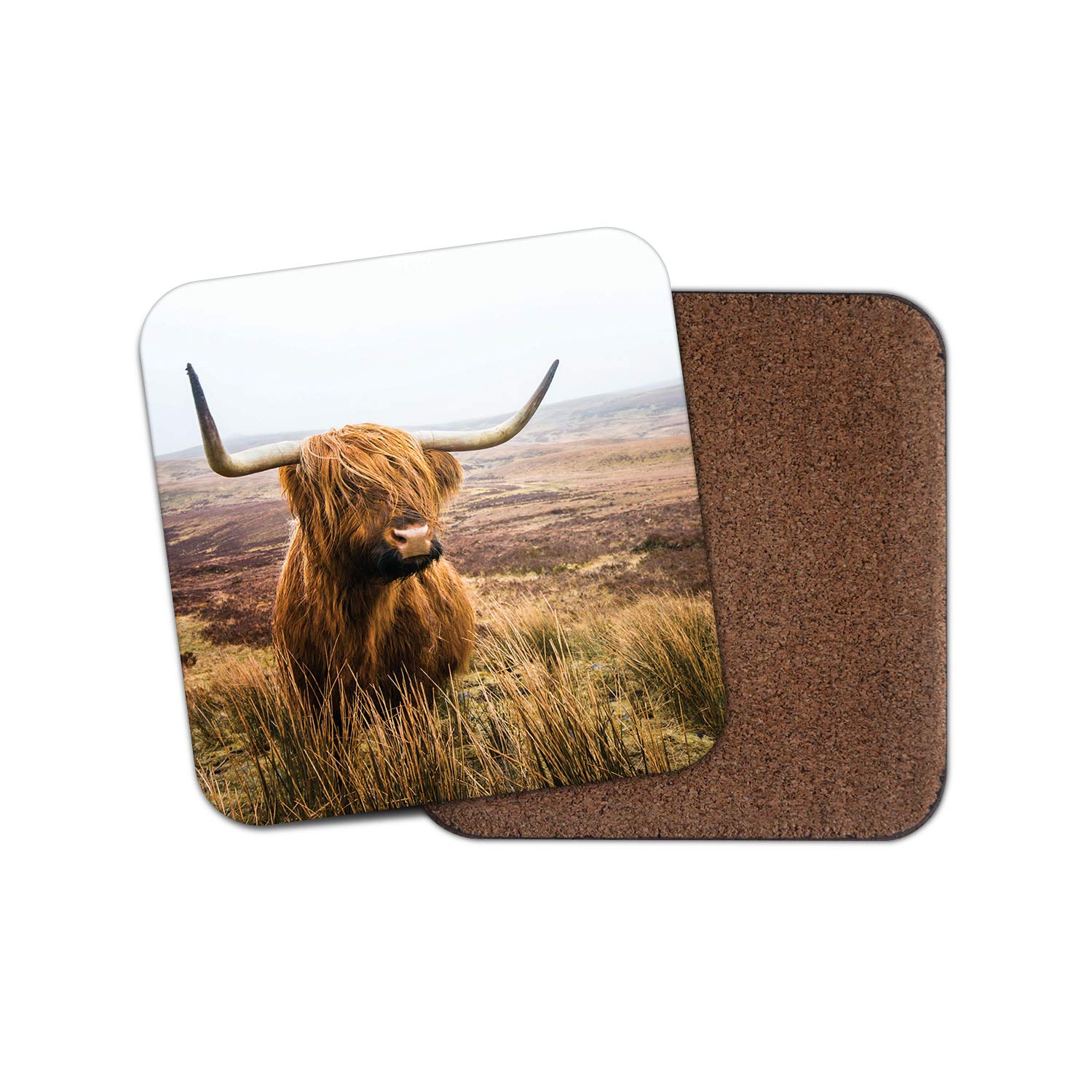 1 x Funny Highland Cow Coaster - Cattle Scotland Wild Fun Animals Cows #15755