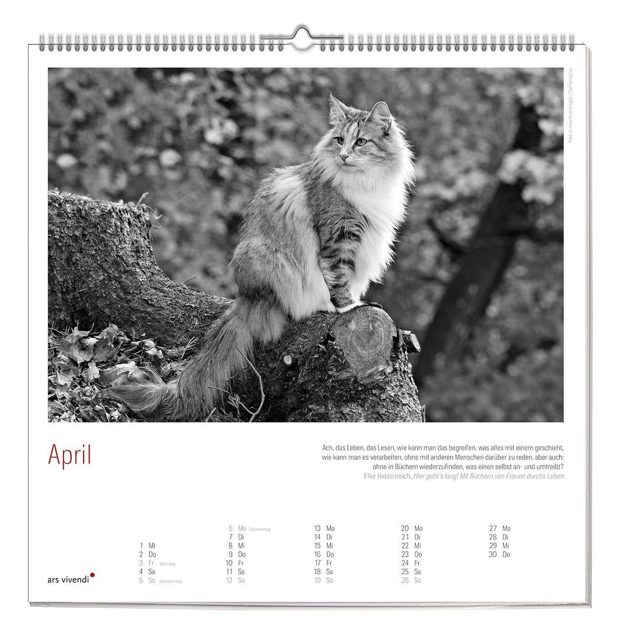Der große literarische KATZEN Kalender 2027 – Wandkalender mit Katzenfotos & gefühlvollen Texten – Inspirierendes Geschenk für Katzenliebhaber & Tierfreunde