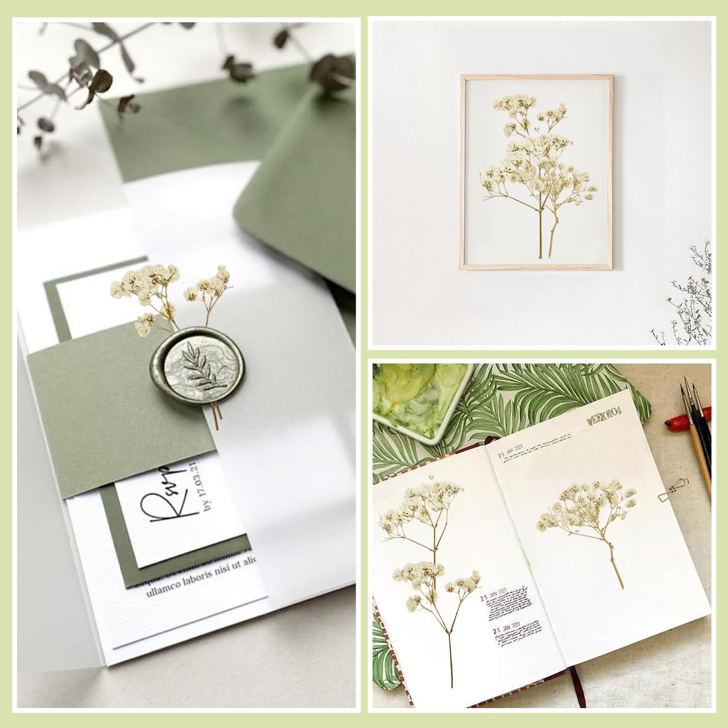 100 Piezas Paniculata Preservada (Blanco) - Flores Secas Pequeñas Naturales para Joyería de Resina y Bricolaje