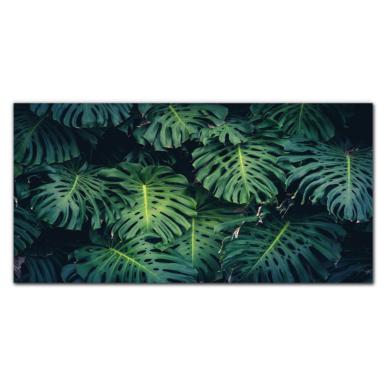 Décoration de cuisine feuille de fleur avec grand dosseret mural en verre 120x60cm