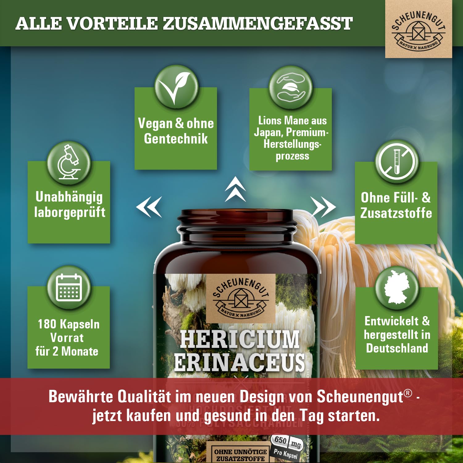 Lions Mane 1950mg -WICHTIG: 30:1 Extrakt (=58500mg Hericium Erinaceus pro Tagesdosis) +30% Polysaccharide +5% Beta Glucan -Lions Mane Kapseln- Vegan + Laborgeprüft DE SCHEUNENGUT®