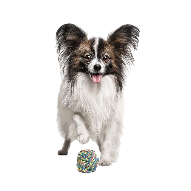 Foto 2 de 3 de Pelota de Cuerda para Perros Gloria - Tamaño 7-8 cm - Cuida la Salud Dental de tu Perro - Pelota Resistente