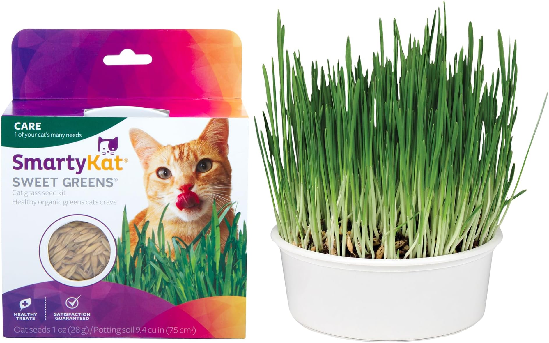 SmartyKat Sweet Greens Organic Oat Grass All-in-One Cat Grass Grow Kit, Easy-to-Grow to Support Digestion & Hairball Reduction