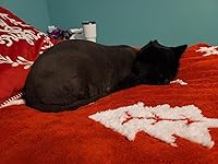 Review Image by Tracie H Tracie H