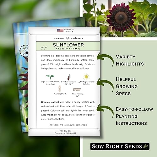 Miniatura 2 de Sow Right Seeds - Semillas de girasol de cereza y chocolate para plantar - Paquete de reliquia sin OMG con instrucciones para cultivar - Hermosa