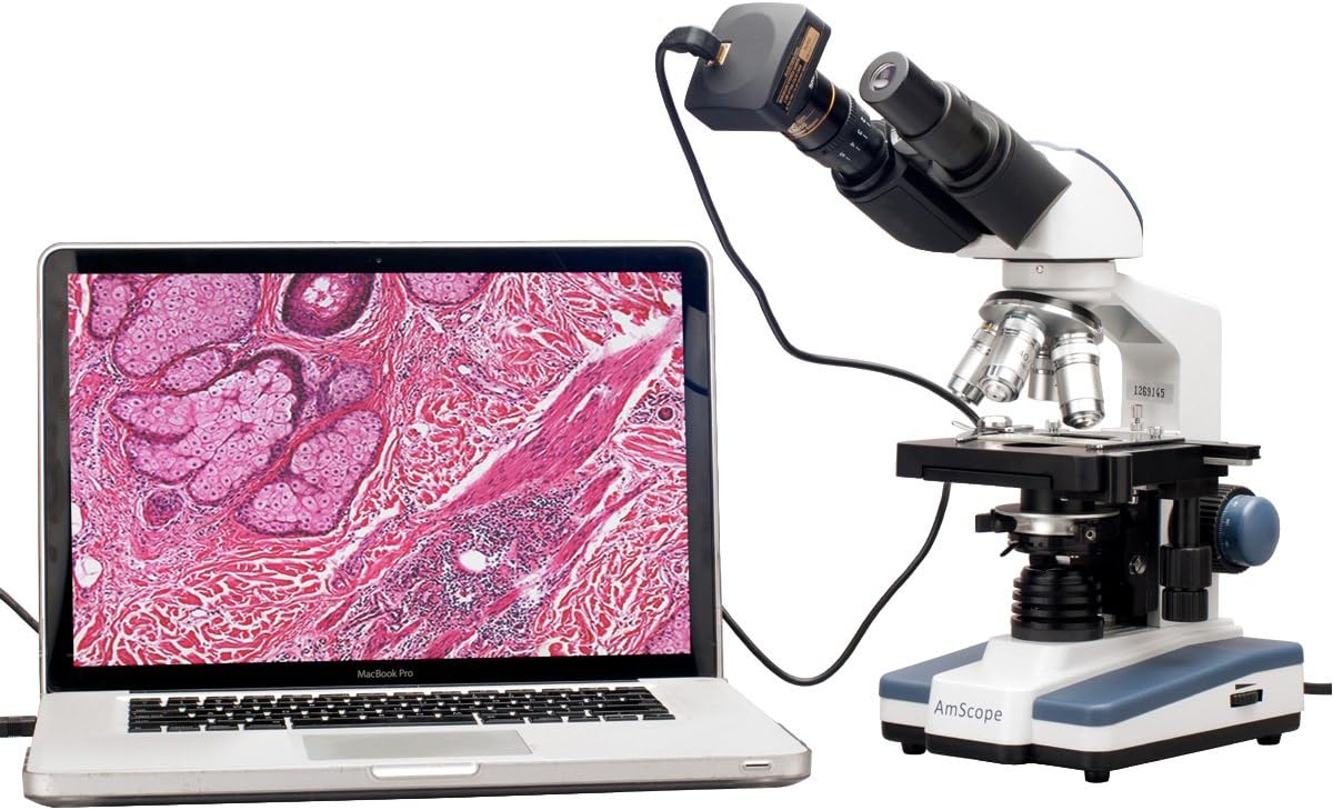 AmScope B120B-5M Digital Siedentopf Binocular Compound Microscope, 40X-2000X Magnification, Brightfield, LED Illumination, Abbe Condenser, Double-Layer Mechanical Stage, Includes 5MP Camera with Reduction Lens and Software