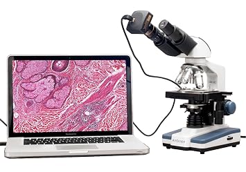 40X-2000X LED Binocular Digital Compound Microscope w 3D Stage and 5MP Camera