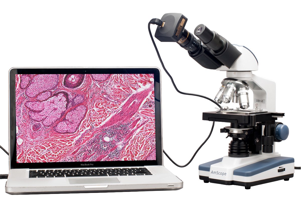 AmScope 40X-2000X - Microscopio composto digitale binoculare a LED con fase 3D e fotocamera da 3 MP