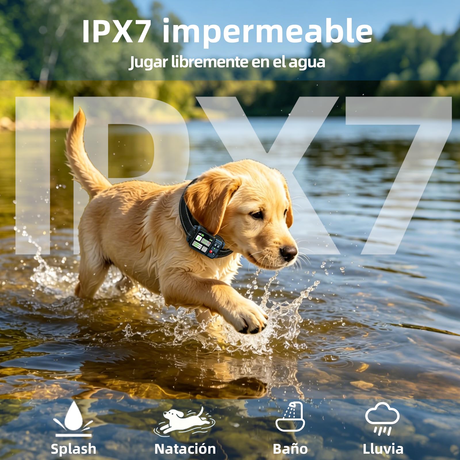 Sistema de Valla Inalámbrica GPS para Perros, Distancia Ajustable 15-2000m, 3 Modos de Entrenamiento, Carga Magnética, Impermeable, Sin Suscripciones, Ideal para Perros Grandes, Medianos y Pequ