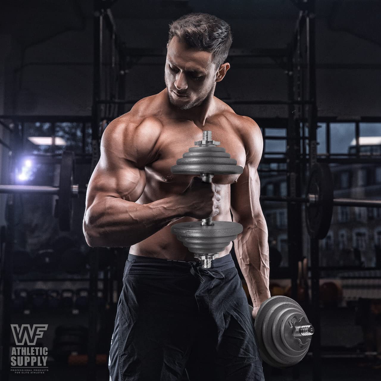 Disque De Poids Fonte – 13,6 Kg (30 Lb) – Musculation, Rucking