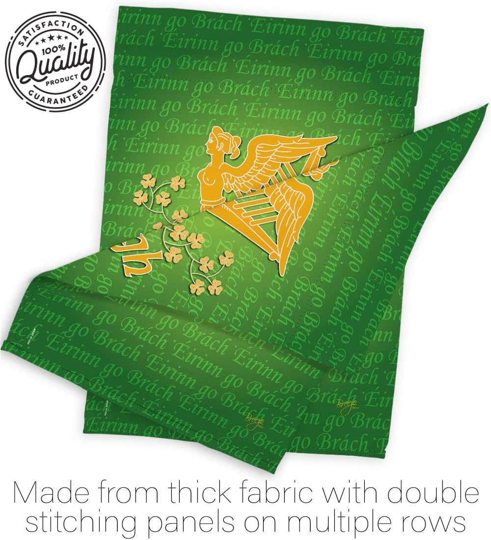 Erin Go Bragh Garden Flag - Set Wall Holder Spring St Patrick Shamrock Leprechaun Lucky Coin Holiday March Irish Clover - House Decoration Banner Small Yard Gift Double-Sided Made In USA 13 X 18.5