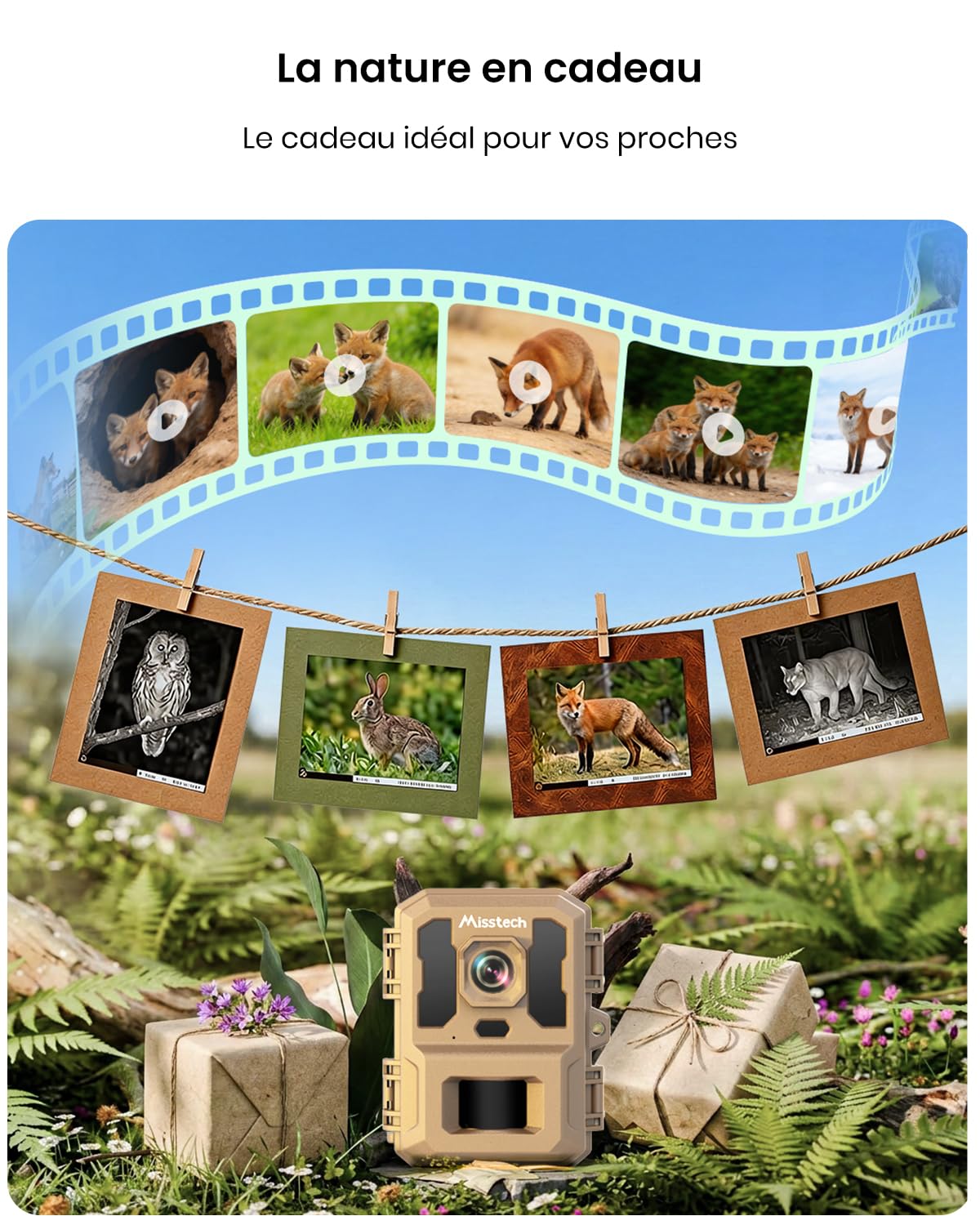 Misstech Caméra de Chasse Solaire 4K 64MP, Vision Nocturne, sans Abonnement | Déclenchement 0,1s, Vision Nocturne, IP66 Étanche, Stockage Local, Idéal pour Jardin, Ferme, Forêt et Observation de la Faune