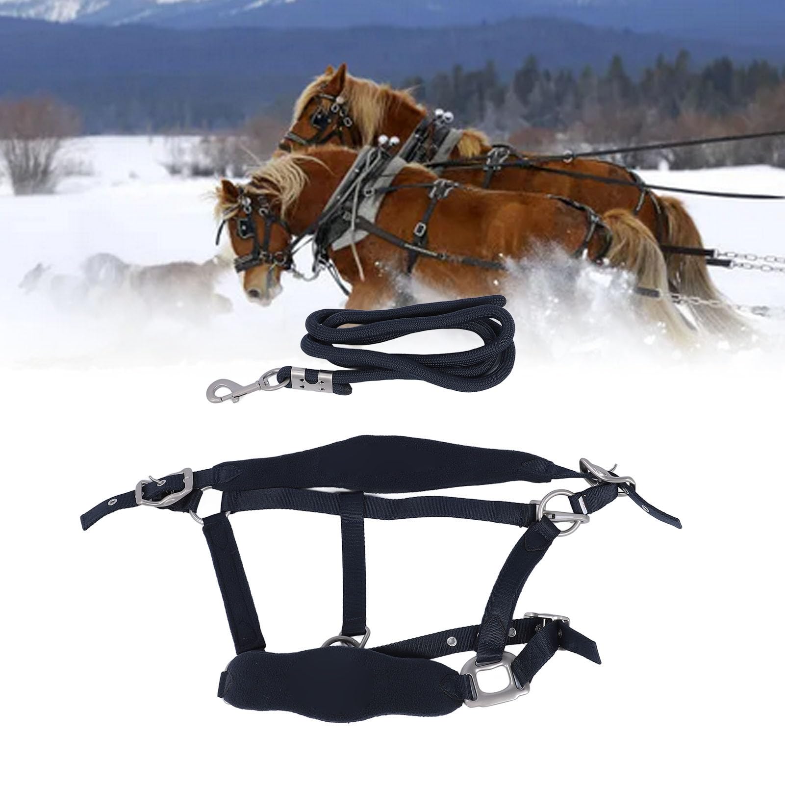Asixxsix Cabestro de Caballo Ajustable, Banda para la Nariz Acolchada, Cojín para la Cabeza, Cabestro de Entrenamiento de Poliéster con Correa de 2 M, para