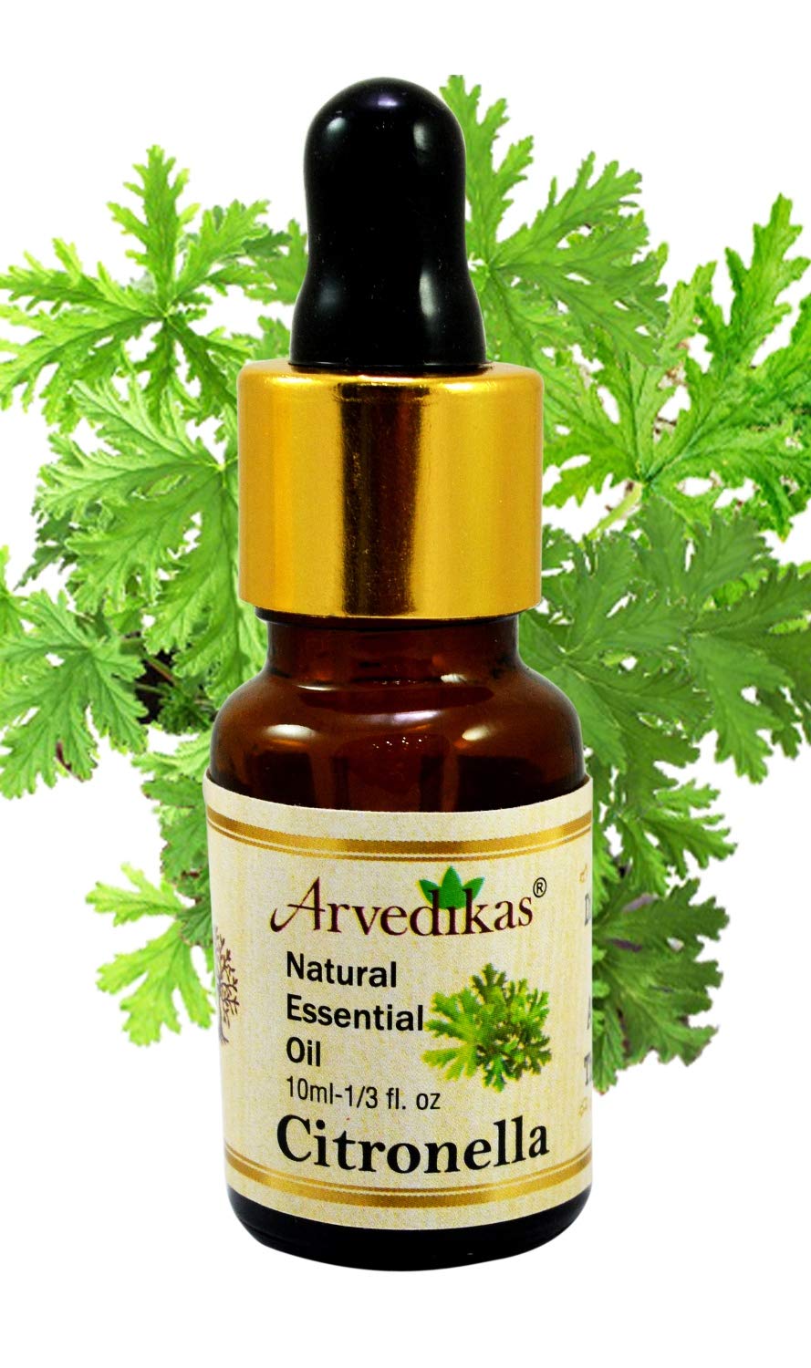 Citronella Oil Benefits, How To Use And Side Effects Axe