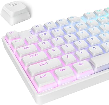 surmen 117-Key Pudding Keycaps,PBT Double Shot Keycaps XDA Profile Anti-Grease for MX Switches Mechanical KeyboardWhite