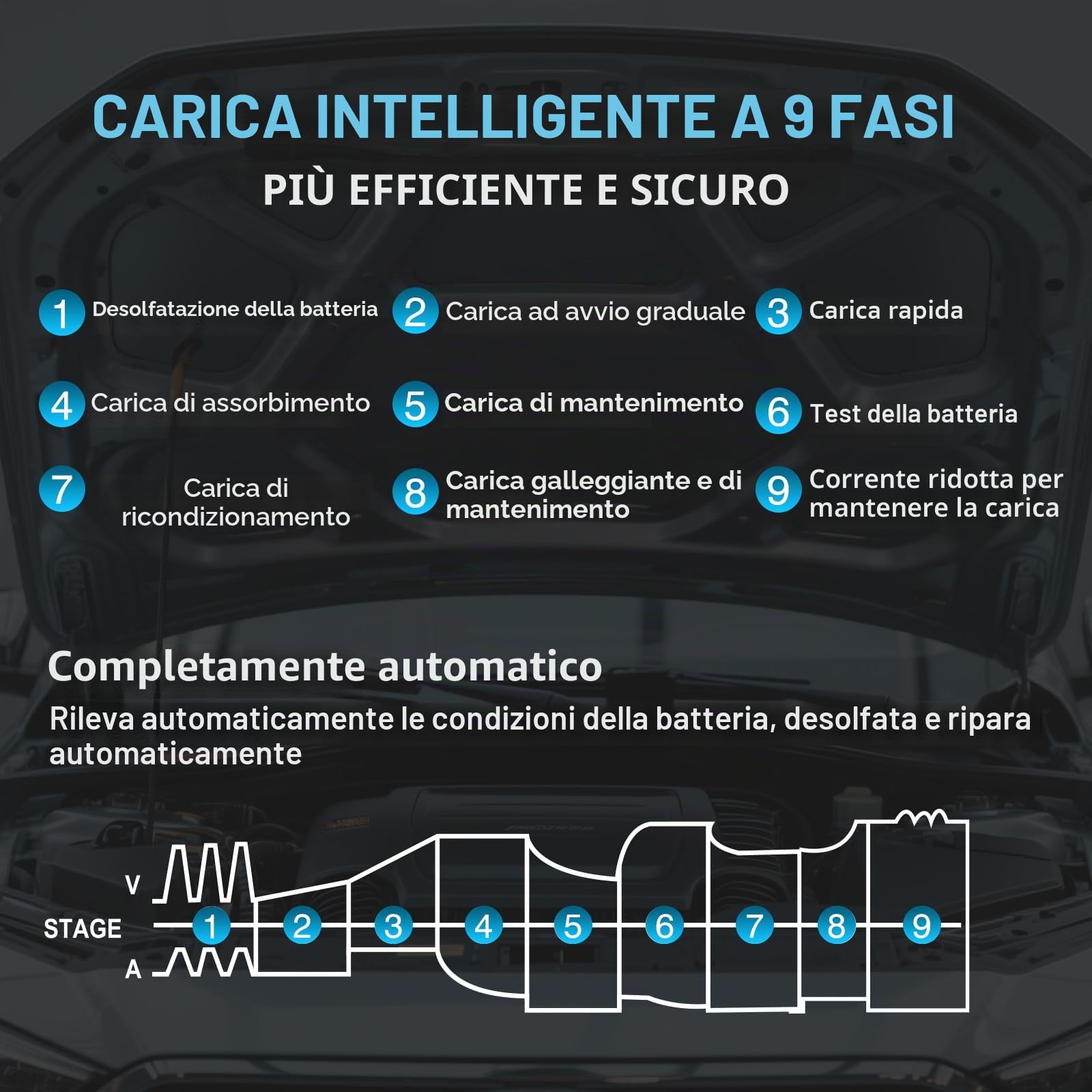 Haisito, caricabatterie intelligente da 45 A, 6 V/12 V/24 V, con display LCD, manutenzione della batteria, carica di mantenimento e solfatazione per AGM, litio, LiFePO4, acido piombo (moto, camper