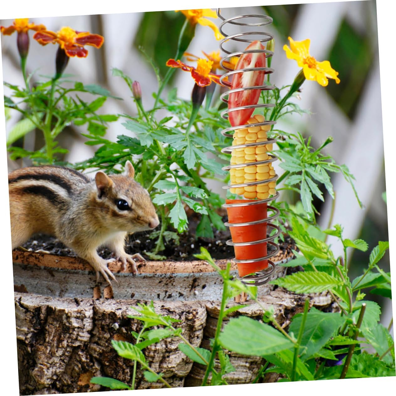 4Pcs Bird Feeder Squirrel Food Holders for Outdoor Wildlife Parrot Fruit Vegetable Skewers Backyard Bird Cage Accessory for Finch Canary