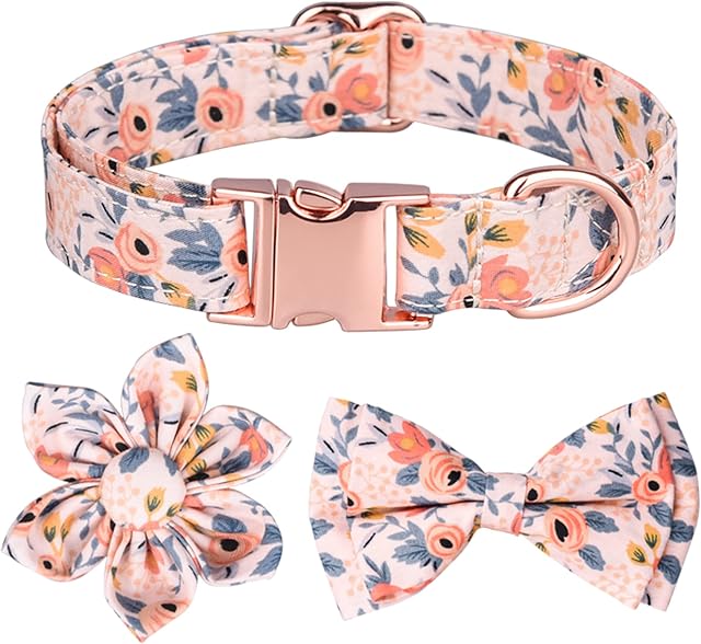 Dog Collar, Adjustable Dog Collars with Metal Quick Release Buckle, Daisy Tie & Bow tie Collar Dogs Collars (Orange)