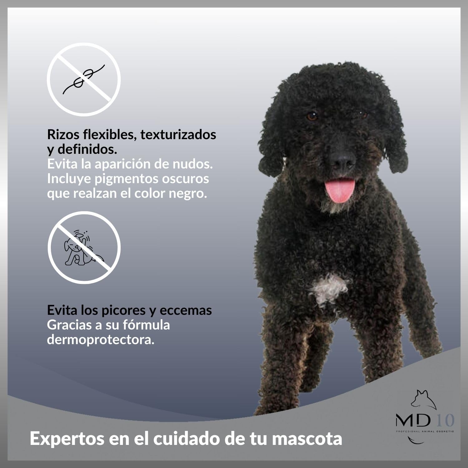 Hundeshampoo Gegen Geruch-Hundeshampoo Schwarze Haar-Hundeshampoo gegen juckreiz-Hunde Shampoo fellpflege Spanischer Wasserhund-Hunde Conditioner-Hund langhaar-Fell Conditioner Spanischer Wasserhund