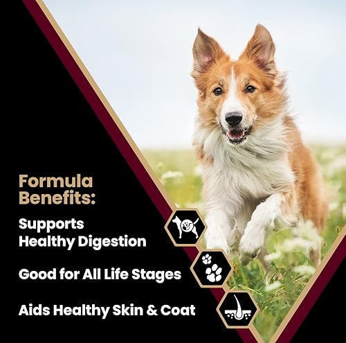 Miniatura 2 de VICTOR Super Premium - Alimento para perros  Fórmula de harina de cordero y arroz integral  Alimento seco para perros sin gluten para todos los