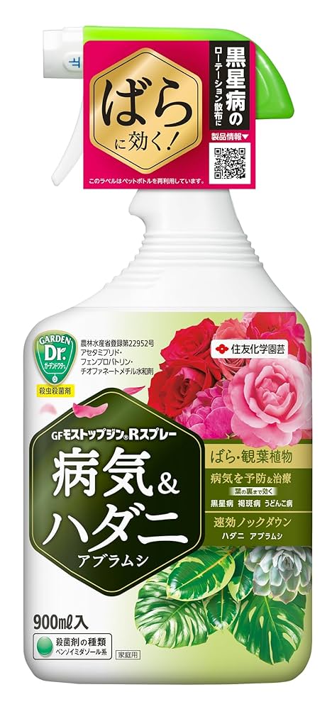すずか農園 村岡農園・山形県産 金色羅皇スイカ（7～8kg） | 安心堂 食の