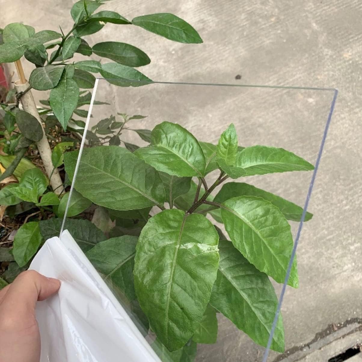 ZAQI Thick 2 3 4 MM Transparent Plexiglass Sheet for Frame