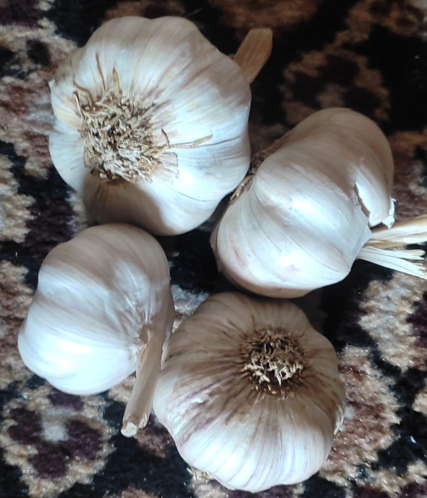 Nuvali's Garlic From Himachal HIlls (Big Size) / Himachal Lahsun/Pahadi Lahsun/Himachal Malai Poondu/Superior Qualilty/Dry and Natural/Hand Picked with Care/(450 grams) — Amazon image 7