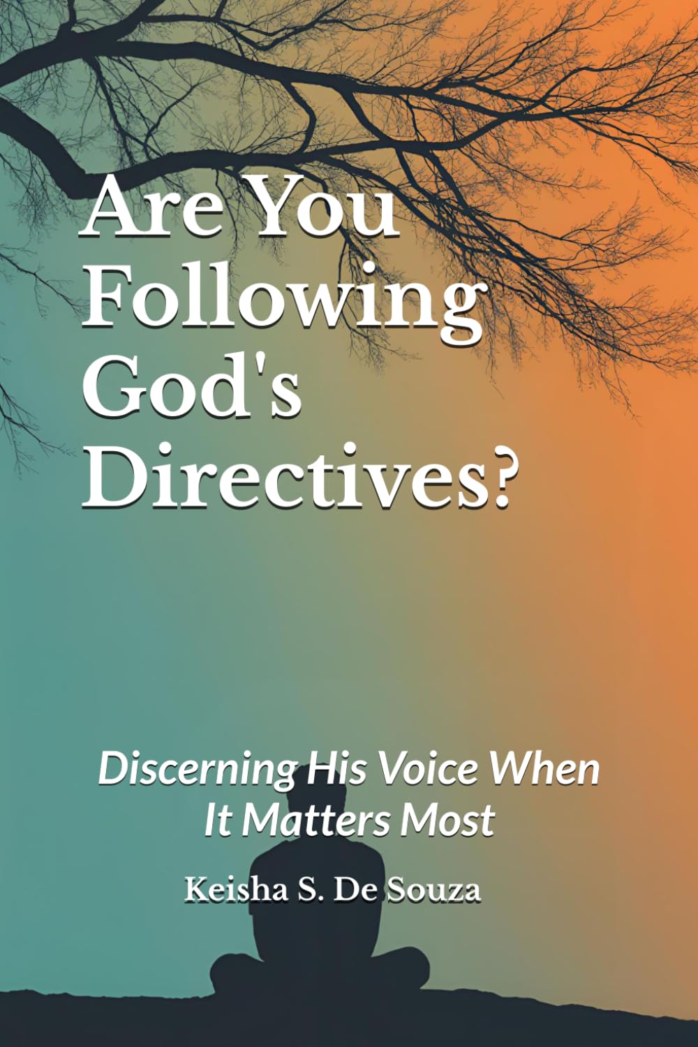 Are You Following God's Directives?: Discerning His Voice When It Matters Most