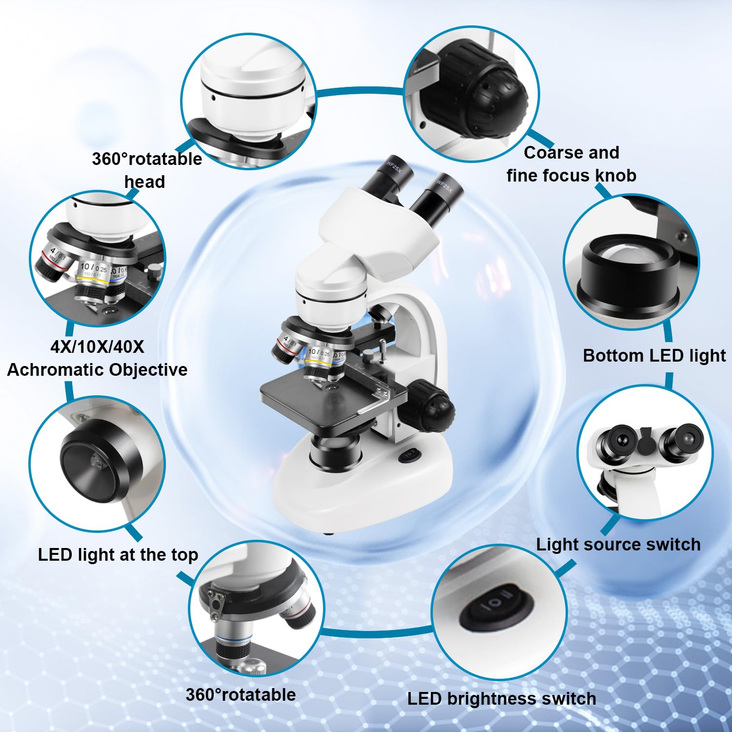 Microscopio binoculare composto 40X-2000X, WF10X WF25X con Lame di Microscopio (30 pezzi), Platino meccanico, per la scuola, il laboratorio, l'educazione domestica per gli studenti adulti