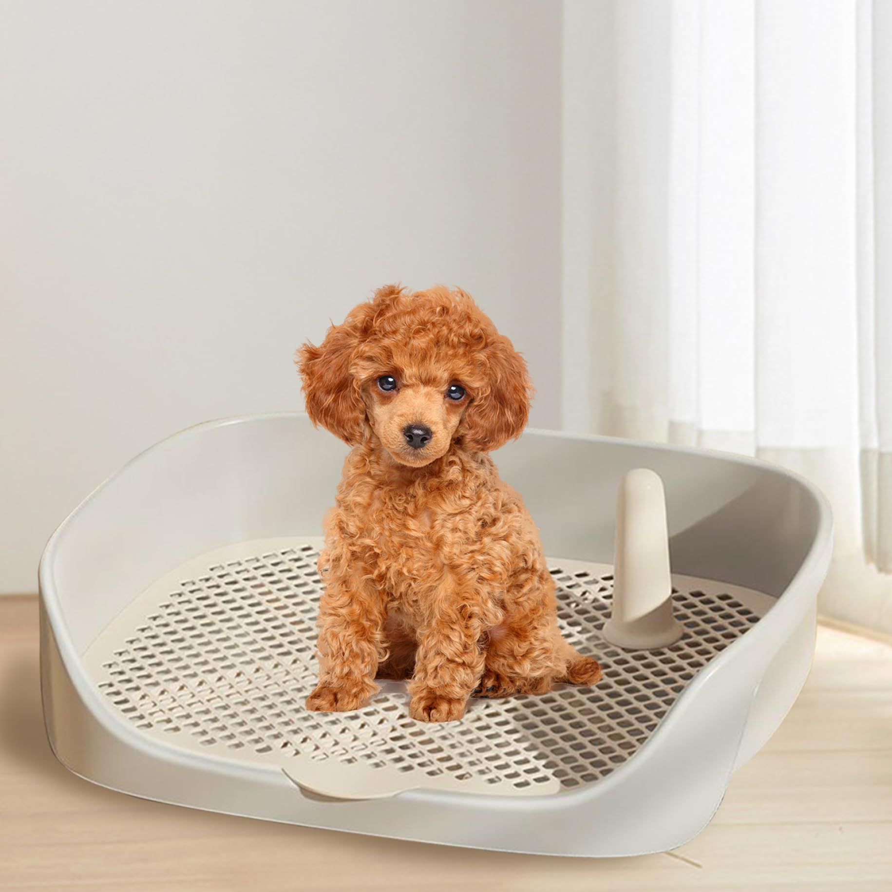 Gamelle de toilette pour chien - 15,8 x 11,8 x 4,3 cm - Dans toilettes amovibles pour chien en plastique - Entraîneur pour petits animaux de compagnie - Lavable pour petits chiens et chiots (bla