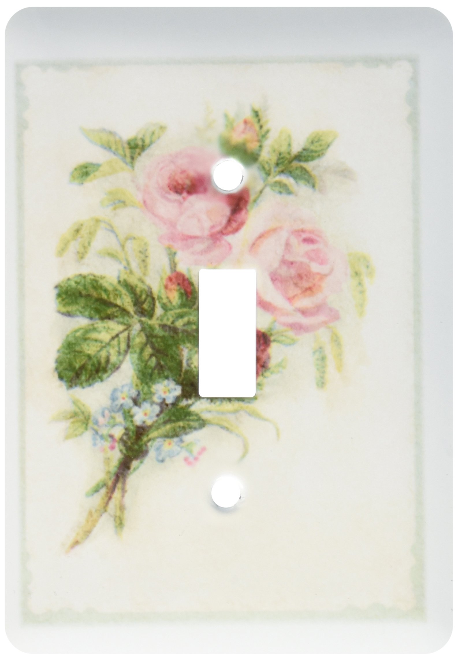 Roses en Aqua et rose décoration murale vintage interrupteur chambre maison