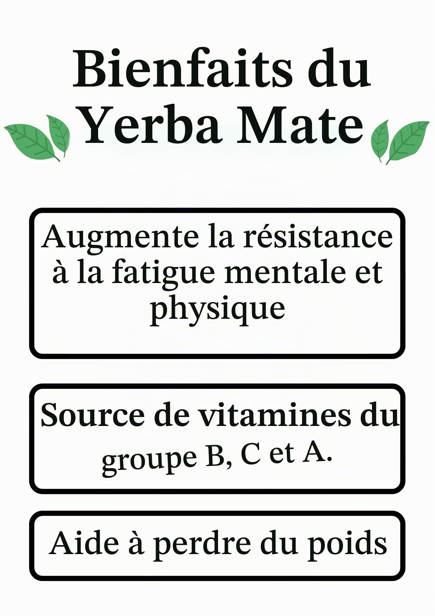 Mat argentin classique, fabriqué à la main en bois de caroube naturel avec revêtement en acier inoxydable, mat avec ampoule, Gourd Mate Cup