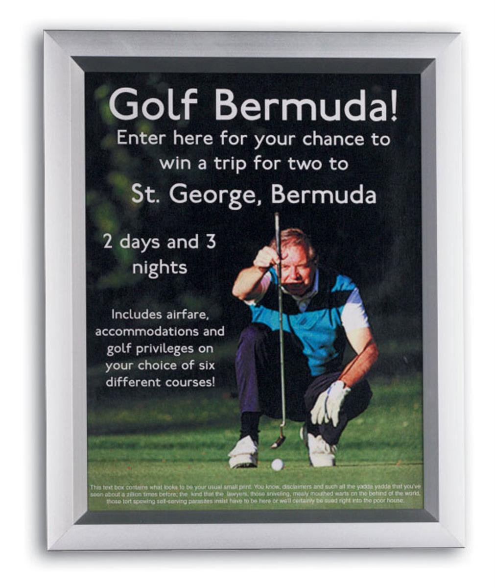 Displays2go 11 x 17 Inch Picture Frames for Wall Mount, Slidein Design for Quick Poster Changes