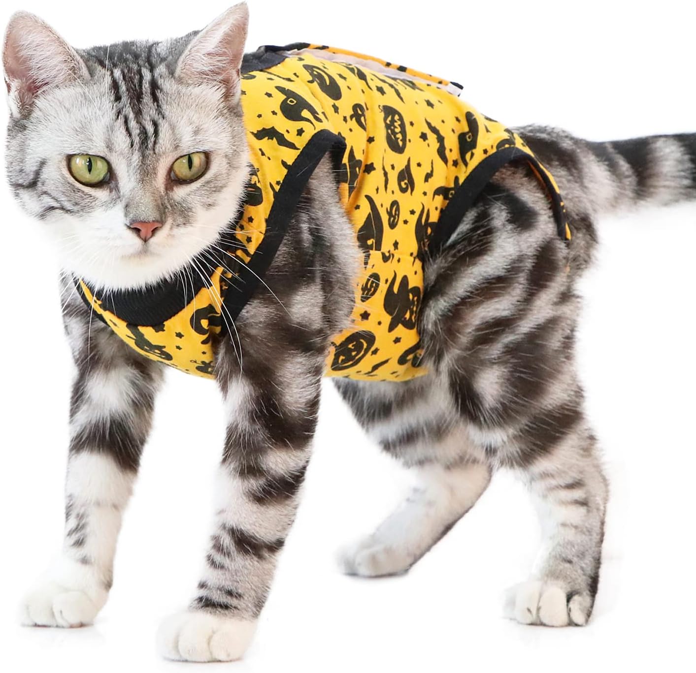 ZIMAOSHAN Cat Surgical Recovery Suit for Abdominal Wounds or Skin Diseases，Substitute E-Collar and Cone Halloween